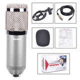 BM800 Large Diaphragm Condenser Microphone