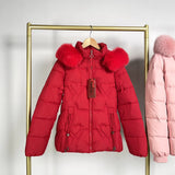 Fur Collar Fashionable Warm Jacket for Women