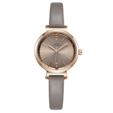 Simple Temperament INS Wind Small Dial Women's Watch