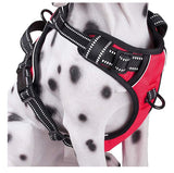 Breathable Reflective Vest-style Big and Medium Dog Chest Harness Explosion-proof