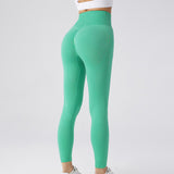 Seamless Fitness Pants, Tummy Control, Workout, Running, Yoga Leggings for Women
