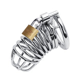 Metal Men's Chastity Lock, Catheter Device, Bird Cage