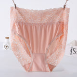 Plus Size Women's Lace Panties – High Waist Floral Lace Briefs (Pack of 2)