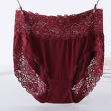 Plus Size Women's Lace Panties – High Waist Floral Lace Briefs (Pack of 2)