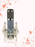Capacitive 34mm Diaphragm, Computer Mobile Phone 48V Microphone