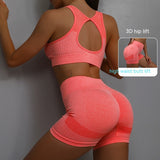 2-piece Sports Fitness Yoga Suit, Breathable Hip-lifting Shorts and Hollow-out Back Bra, Women's Clothing
