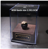 Miniature Model, Trendy Toy, Handmade Production