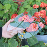 Acrylic Paint Palette, Transparent Clear Gouache Artist Paint Plate