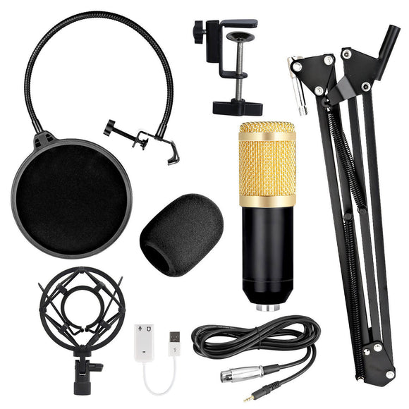 Shouting Microphone Recording, Live K Song Podcast