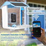 Smart Bird Feeder with AI Recognition App Camera