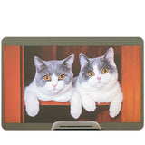 Mini Projector for Home, Front Projection