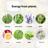 Skin Moisturizing and Rejuvenation Spa Oil, Professional Use Kit