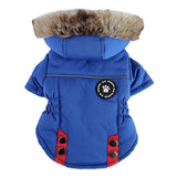 Winter Cotton Dog Clothes, Zippered Jacket Pet Supplies