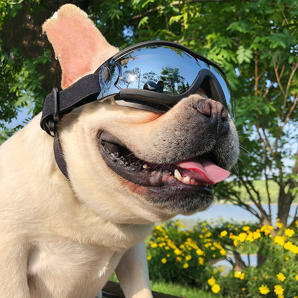 Dog Windproof Pet Sunglasses / Protective Goggles