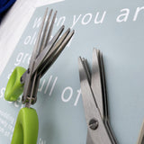 Stainless Steel Multi-layer Herb & Green Onion Scissors for Seaweed, Spices & Kitchen Prep