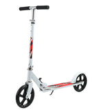 Two-wheeled, Foldable Campus, Mobility Scooter