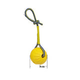 Large Puppy Interactive Training Toy with Accessories