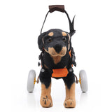 Pet Walking Dog, Wheelchair Scooter