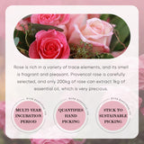 Rose Essential Oil for Body Moisturizing and Skin Whitening