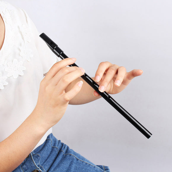 Beginners Only Flageolet Flute, Working Musical Instruments