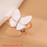 Multifunctional High-end Scarf Buckle, Windbreaker Belt Accessories