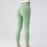 Seamless Fitness Pants, Tummy Control, Workout, Running, Yoga Leggings for Women