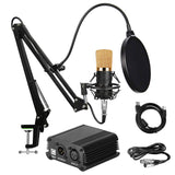 Shouting Microphone Recording, Live K Song Podcast