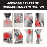 Bee Venom Lumbar Knee Body Pain Relief, Joint Repair Gel (Pack of 2)