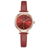 Simple Temperament INS Wind Small Dial Women's Watch