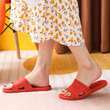 Women's Fashion Summer Indoor Outdoor Slippers