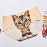 Cat Head Traceless Ventilation, Ice Silk Mid Waist, Women's Briefs