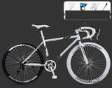 Road Race, Variable Speed, Solid Tire, Double Disc Brake, Sports Bicycle