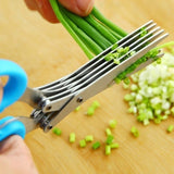 Stainless Steel Multi-layer Herb & Green Onion Scissors for Seaweed, Spices & Kitchen Prep