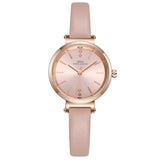 Simple Temperament INS Wind Small Dial Women's Watch