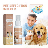 Pet Toilet Inducer, Fixed-point Training