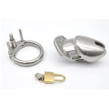 Stainless Steel Short Men's Chastity Lock and Belt