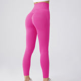 Seamless Fitness Pants, Tummy Control, Workout, Running, Yoga Leggings for Women