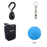 Large Puppy Interactive Training Toy with Accessories