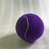 Large Tennis Ball for Big Dogs — Outdoor Activity Play Toy