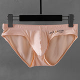 Men's Low Waist, Ice Silk, Sexy Trendy Briefs (Pack of 2)