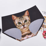 Cat Head Traceless Ventilation, Ice Silk Mid Waist, Women's Briefs