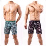 Men's Boxers, Premium Swim Pants