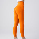 Seamless Fitness Pants, Tummy Control, Workout, Running, Yoga Leggings for Women