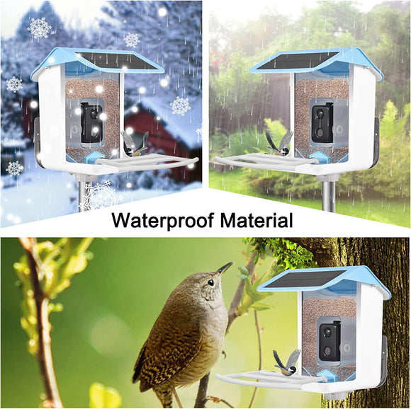 Smart Bird Feeder with AI Recognition App Camera