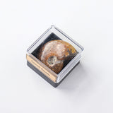 Natural Crystal Ore, Mineral Specimen Decoration