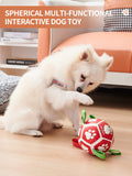 Dog Soccer Balls Toy with Straps, Gift for Pets - Puppy Birthday Interactive Toys