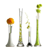 Nordic Slim Small-mouth Flower Vase – Modern Minimalist Home Décor