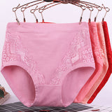 Big Momma Underwear, High Waist Cotton Crotch, Plus-sized Briefs