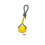 Large Puppy Interactive Training Toy with Accessories