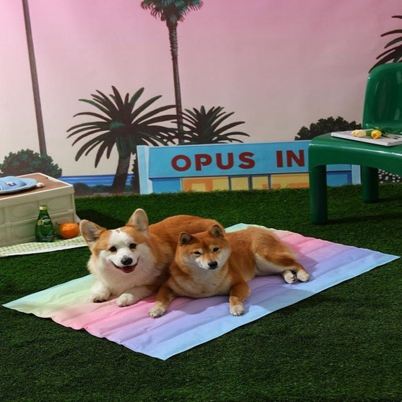 Ice Dog Mat, Summer Cool Sleeping Pet Pad